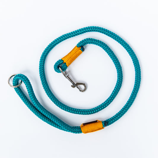 Turquoise & Yellow Rope Dog Leash