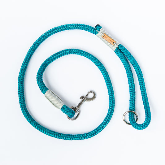 Turquoise & Silver Rope Dog Leash