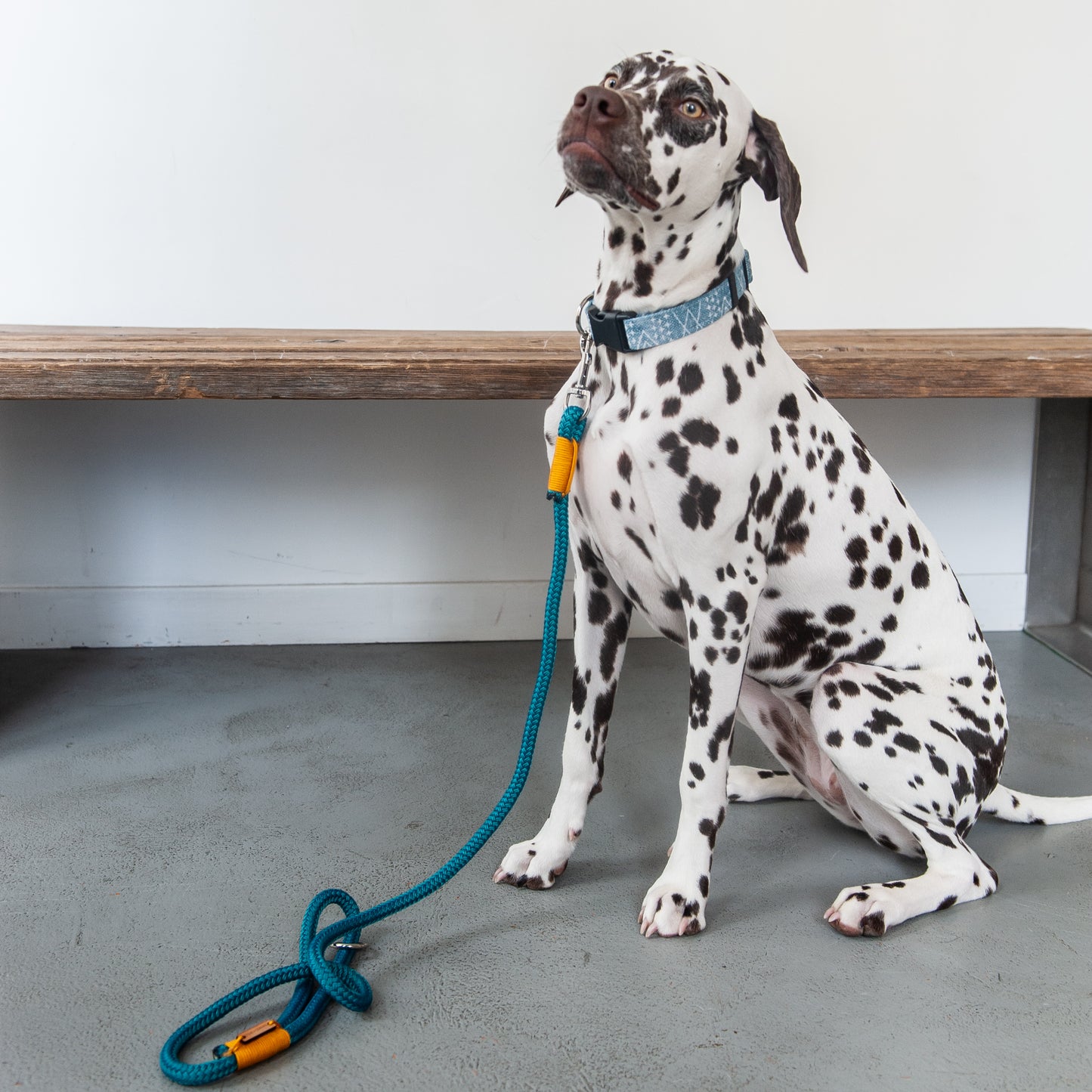 Turquoise & Yellow Rope Dog Leash