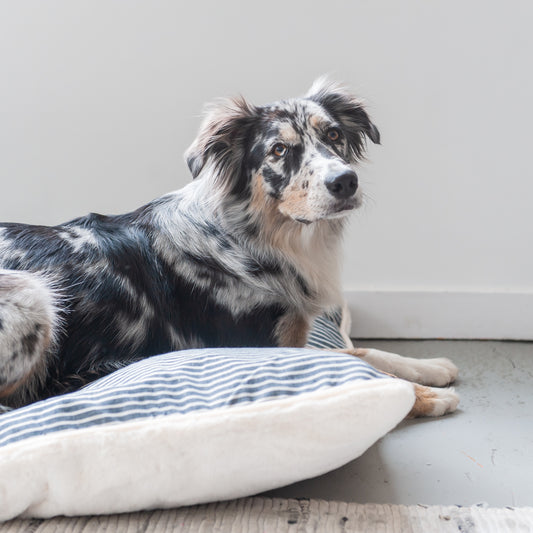 Blue Nautical Stripe & Plush Dog & Pet Bed Cover