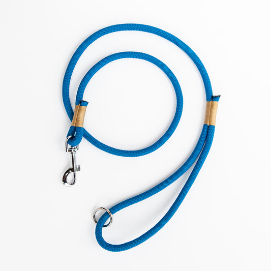 Blue & Gold Climbing Rope Dog Leash